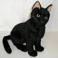 黒猫ショートヘア