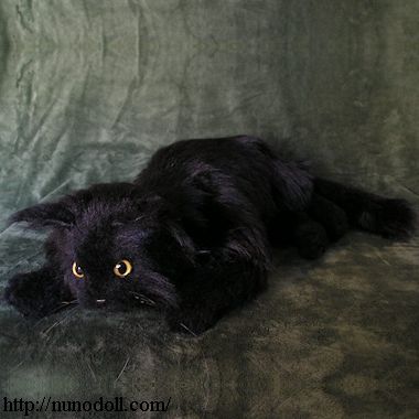 伏せる黒猫