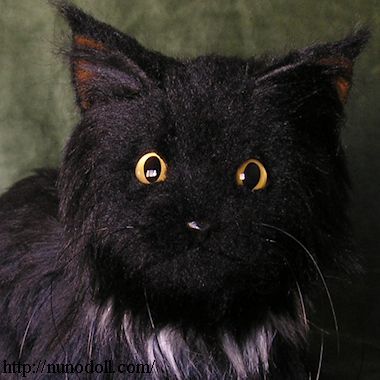 金目黒猫