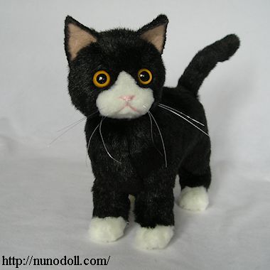 白いソックスの黒猫