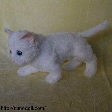 低姿勢白猫